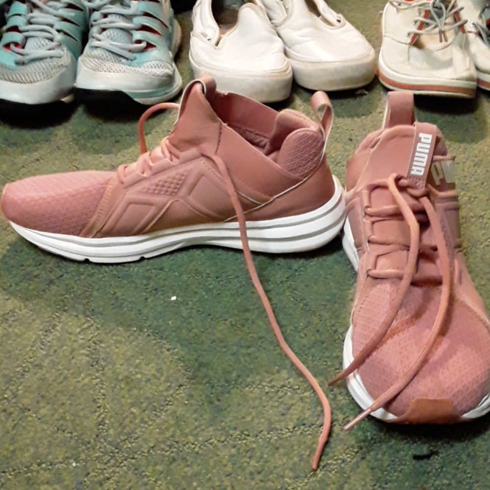 Pumas - Picture 2 of 3